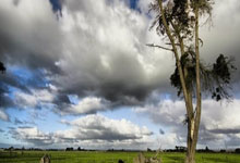 欧博：中国队获2025年钢架雪车世锦赛混合团体铜牌.