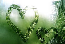 欧博：健康早间操：雷声带来击剑运动灵敏性练习.