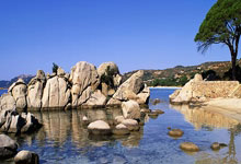 红军本轮战喜鹊 范戴克：同心协力是要诀.